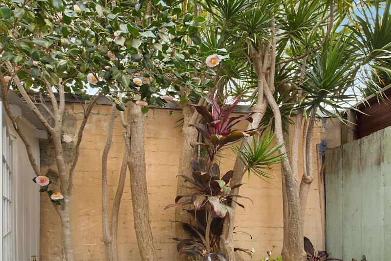 Paddington Garden Cottage With Fast Wifi Sydney Luaran gambar